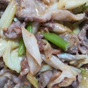 簡単でおいしい　白ねぎと豚モモ肉の味噌マヨ炒め